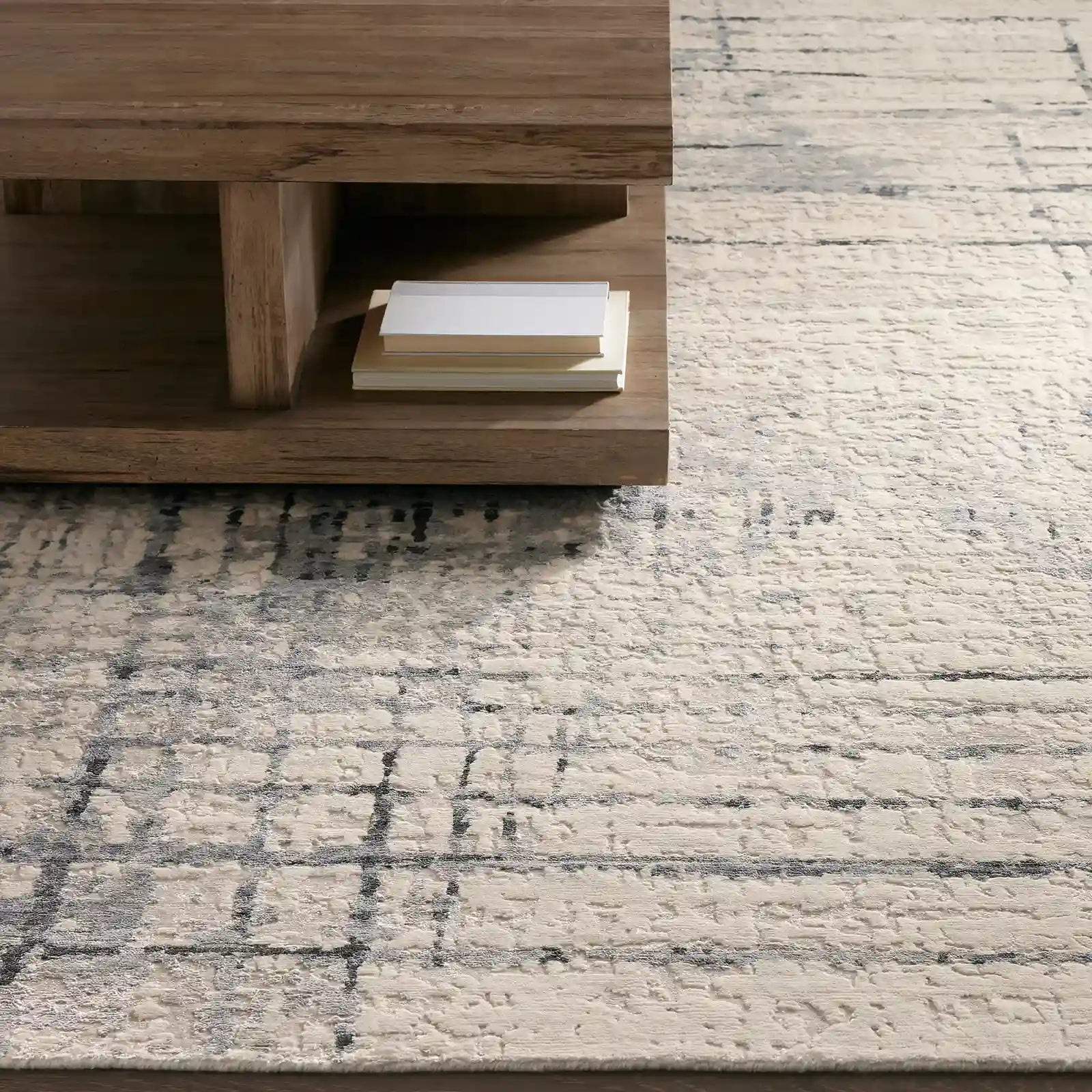 Wylie Hand-Knotted Area Rug Rectangular Washable Living Rooms Carpet
